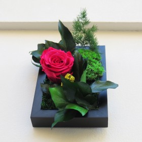 Composition végétale haut de gamme SWEET ROSE dans un cadre noir