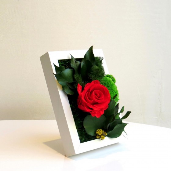 Cadre végétal stabilisé SWEET ROSE — rose éternelle et mousses — fabriqué en France