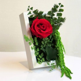 Cadre végétal stabilisé SWEET STAR avec rose rouge et feuillage