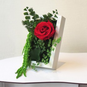 Petit cadre de plantes stabilisées SWEET STAR décoration de table
