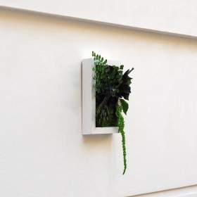 vue de profil du cadre de plantes stabilisées SWEET UP