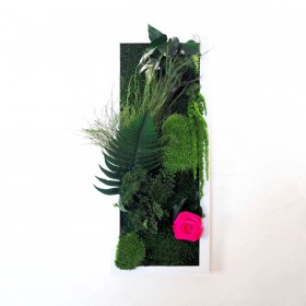 Tableau vegetal cadre blanc vertical avec rose fuchsia mousse et fougeres