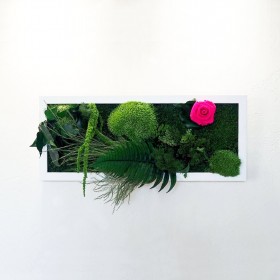 Tableau vegetal rectangulaire horizontal cadre blanc rose eternelle fuchsia