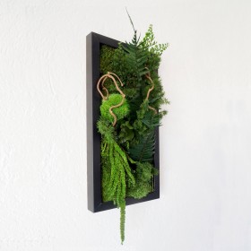 Tableau végétal stabilisé Élégance monochrome accroché au mur, décoration murale intérieure