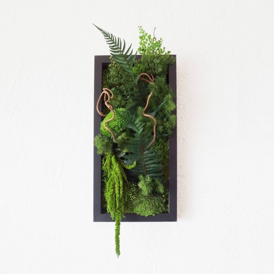 Tableau végétal stabilisé BLACK PARROT  feuillages naturels stabilisés et bois de corylus