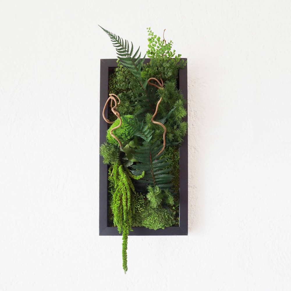 Tableau végétal stabilisé BLACK PARROT  feuillages naturels stabilisés et bois de corylus
