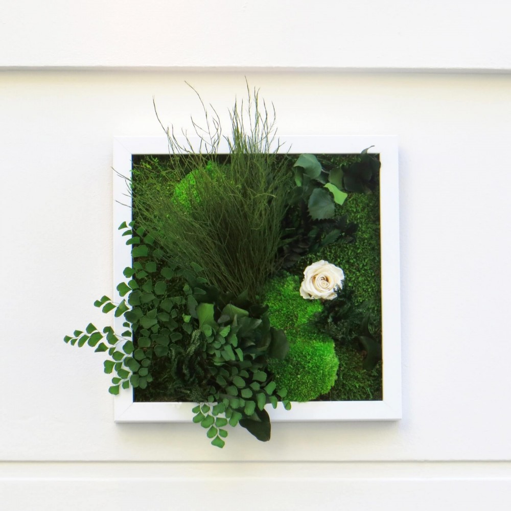 Tableau vegetal carre cadre blanc avec feuillage stabilisé,  mousses et rose blanche