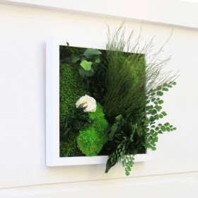 Vue de profil tableau vegetalise carre cadre blanc rose eternelle et mousse