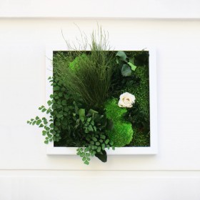 Cadre mural vegetal carre blanc deco d'interieur fleurs et plantes stabilisees