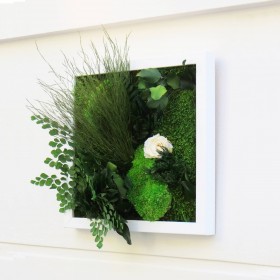 Composition vegetale carree cadre blanc avec relief de graminees et feuillages