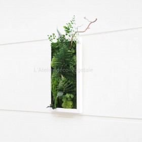 Tableau végétal stabilisé Cuban Night vue de profil, relief végétal et cadre bois blanc