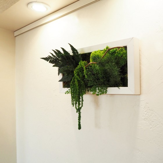 Tableau végétal stabilisé CURLY SUE  végétaux naturels stabilisés  décoration murale