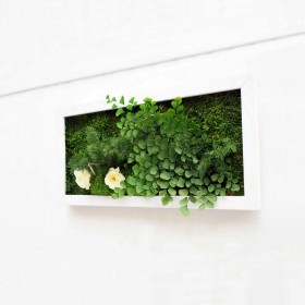 Tableau végétal stabilisé DOUBLE YOU — plantes naturelles stabilisées — décoration murale intérieure — Deco-Vegetale