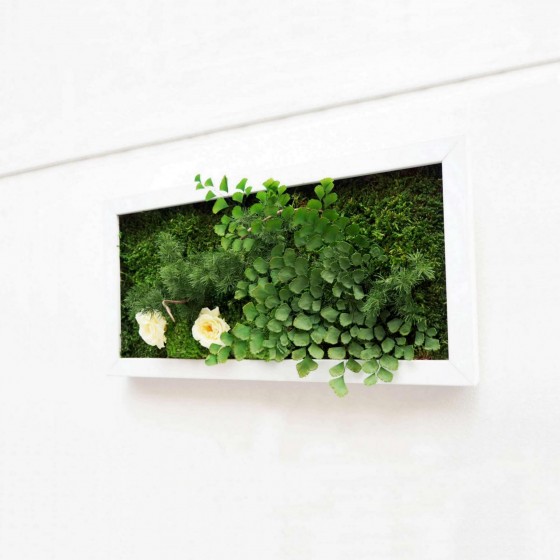 Tableau végétal stabilisé DOUBLE YOU — plantes naturelles stabilisées — décoration murale intérieure — Deco-Vegetale