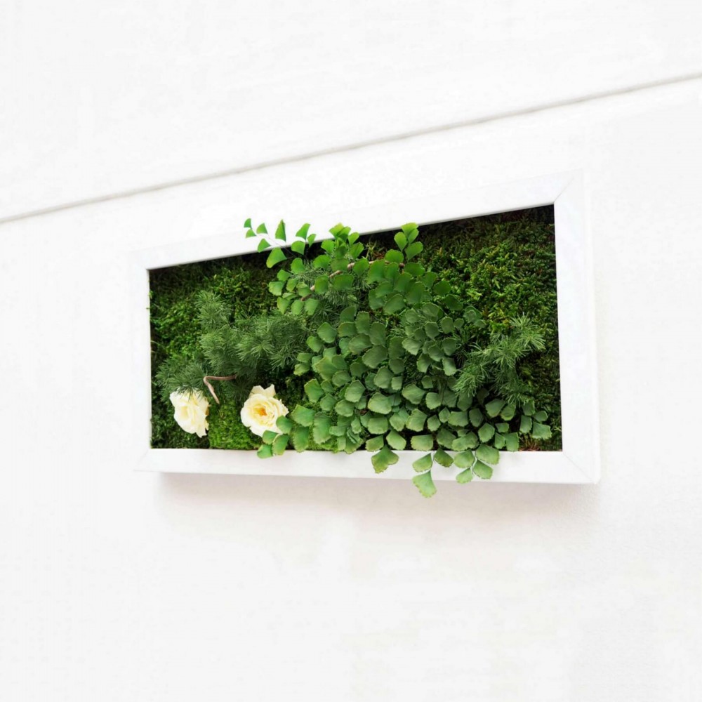 Tableau végétal stabilisé DOUBLE YOU — plantes naturelles stabilisées — décoration murale intérieure — Deco-Vegetale