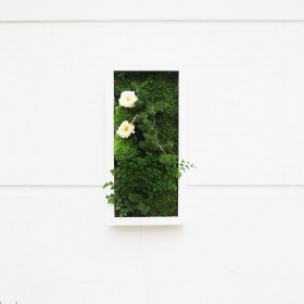 Tableau vegetalise avec mini roses eternelles et feuillage stabilisé