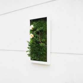 vue de profil du Tableau vegetal mural  double you cadre blanc fleurs blanches et feuillage d'interieur