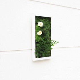 Tableau vegetal mural cadre blanc fleurs blanches et feuillage d'interieur