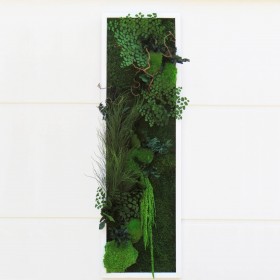 Tableau végétal stabilisé DREAM TOUCH — grand format de plantes naturelles stabilisées — décoration murale — Deco-Vegetale