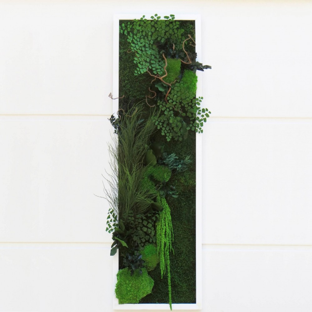 Tableau végétal stabilisé DREAM TOUCH — grand format de plantes naturelles stabilisées — décoration murale — Deco-Vegetale