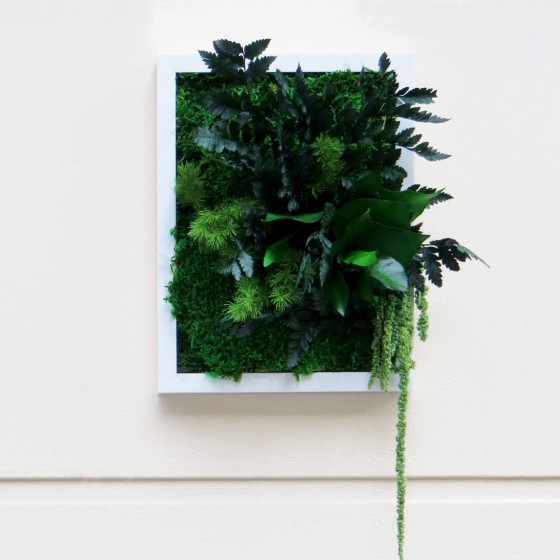 Tableau végétal stabilisé EMISPHERE plantes naturelles stabilisées décoration murale intérieure