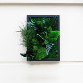 Tableau végétal EVERGREEN en feuillages stabilisés verts, présenté de face dans cadre noir