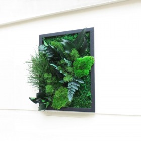 Tableau végétal stabilisé EVERGREEN avec feuillages verts variés dans cadre noir