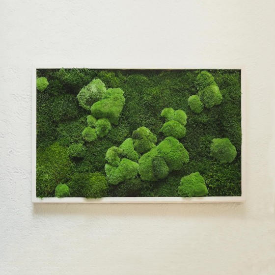 Tableau végétal stabilisé FÉROÉ  composition végétale naturelle stabilisée