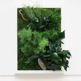Tableau végétal stabilisé HAPPY avec feuillages verts, mousse et galet décoratif dans cadre blanc