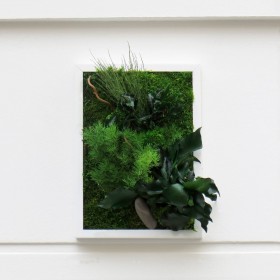 Tableau végétal HAPPY en feuillages stabilisés verts avec galet clair au bas de la composition