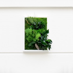 Tableau végétal stabilisé HAPPY mousses et végétaux naturels stabilisés fabriqué en France
