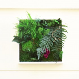 Tableau vegetal carre cadre blanc avec fougeres mousses et rose prune