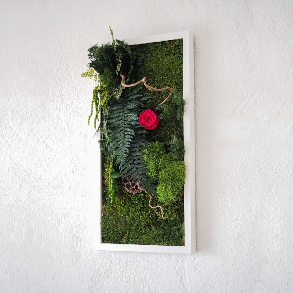 Tableau végétal stabilisé MAGIC ROSE  rose éternelle et végétaux naturels stabilisés pour la décoration murale