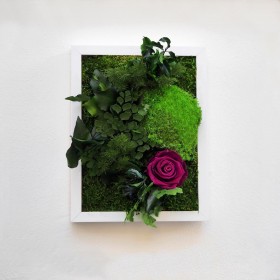 Tableau végétal stabilisé MANGO CHARM — plantes naturelles stabilisées — décoration murale