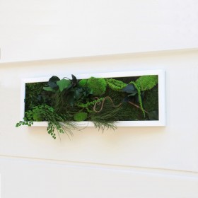 Décoration murale végétale stabilisée Mont Tacoma verticale installée sur un mur blanc