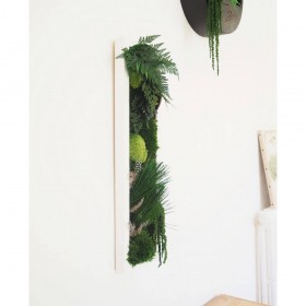 Tableau végétal stabilisé NAHÖ - mousses et végétaux naturels stabilisés - Deco-Vegetale