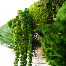 Détail du tableau vegetal préservé naho . cascade d'amaranthe stabilisé et plumes