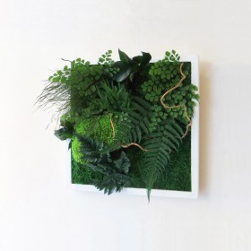 Tableau végétal stabilisé NATURE feuillages et mousses naturels stabilisés fabriqué en France