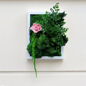Tableau végétal stabilisé PALADA  rose éternelle et mousses naturelles décoration murale