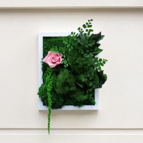 Tableau végétal stabilisé PALADA en cadre blanc avec feuillages verts, fleurs roses et végétaux retombants