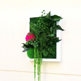 Vue latérale du tableau végétal PALADA avec rose fuchsia et longue retombée de feuillages stabilisés