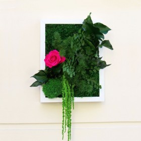 Tableau végétal stabilisé PALADA avec rose fuchsia, feuillages verts et végétaux retombants