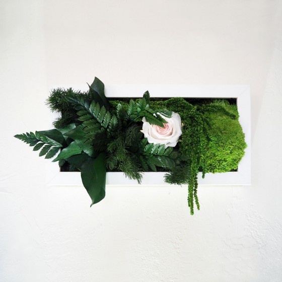 Tableau vegetal rectangulaire horizontal cadre blanc avec rose rose poudre mousse et feuillage stabilisé