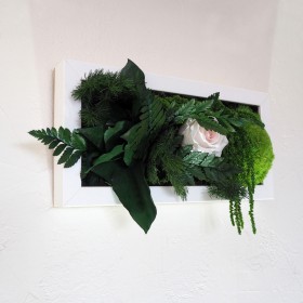 Composition vegetale cadre blanc rectangulaire en relief avec rose eternelle rose