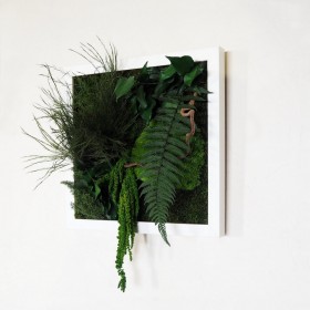 tableau végétal stabilisé