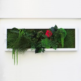 Tableau végétal stabilisé SENSUAL TOUCH plantes naturelles stabilisées  décoration murale douce et colorée