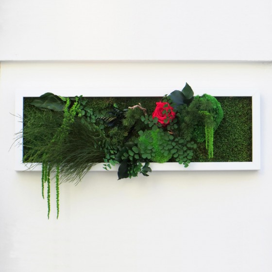 Tableau végétal stabilisé SENSUAL TOUCH plantes naturelles stabilisées  décoration murale douce et colorée