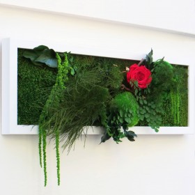 Tableau végétal Sensual Touch en format horizontal avec feuillages retombants