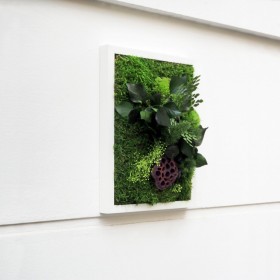 Tableau végétal stabilisé TOPLIPS avec feuillages verts, mousse et capsule de lotus séchée