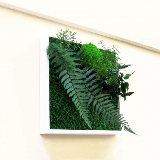 Tableau végétal stabilisé WEST POINT plantes naturelles stabilisées  décoration murale
